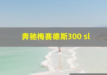 奔驰梅赛德斯300 sl